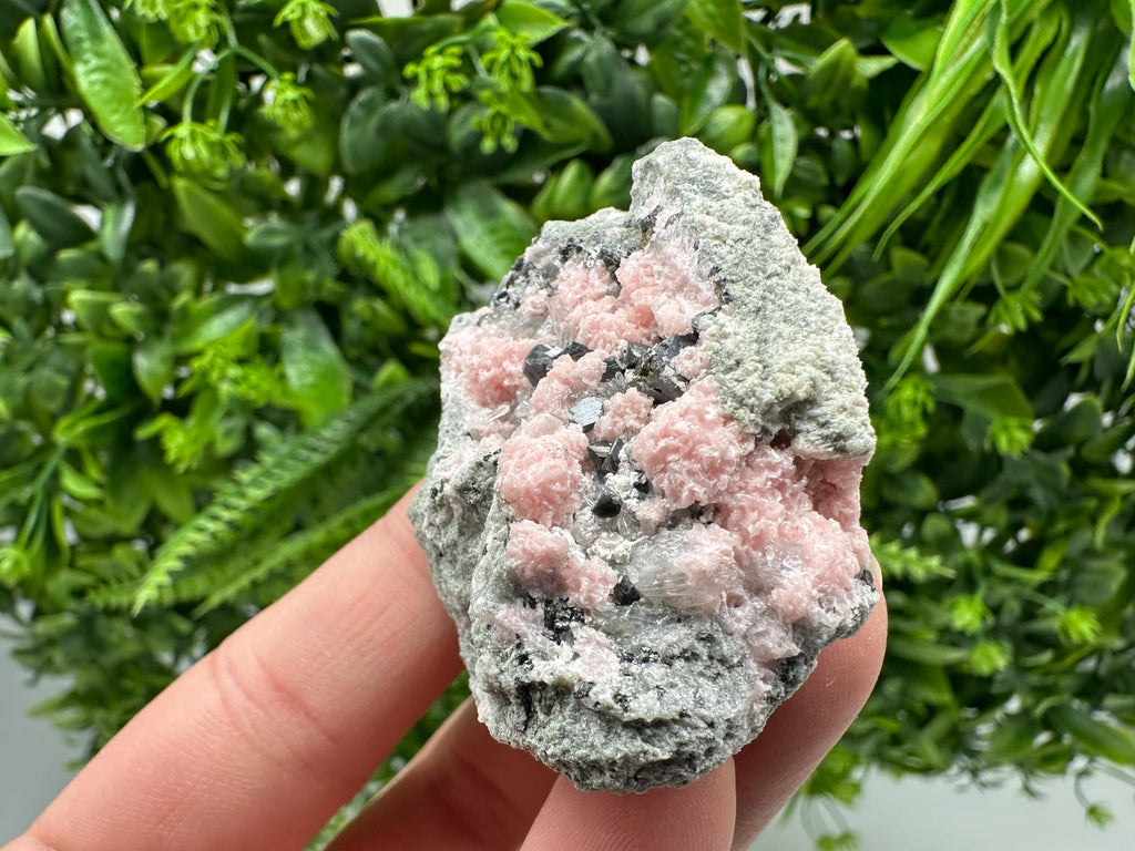 Pink Rhodochrosite Crystal: Starnica Mine, Bulgaria, Home Decor