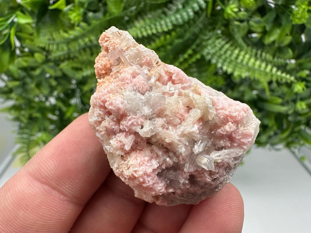 Pink Rhodochrosite Crystal: Starnica Mine, Bulgaria
