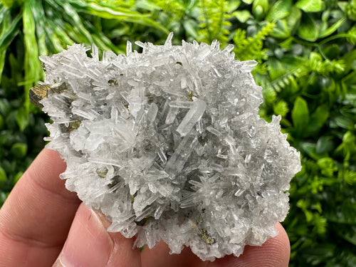Chalcopyrite on Quartz Crystal: Borieva Mine, Bulgaria