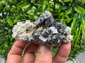 Wonderful Galena,Sphalerite,Siderite on Quartz from 9th September mine,Madan,Bulgaria,natural,collection mineral specimen,crystal,gift,decor