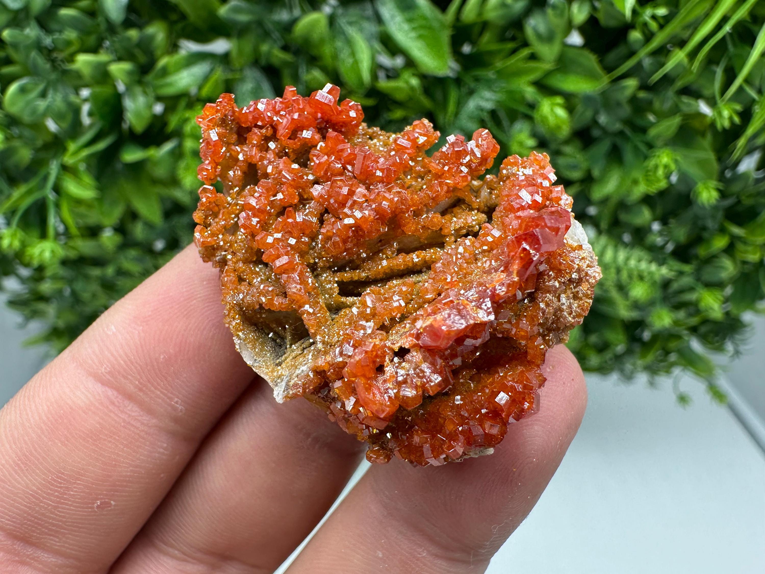 Red Vanadinite on Barite from Marocco,crystal minerals Speciment cluster Vanadinite crystal Vanadinite Geology Vanadinite cluster minerals