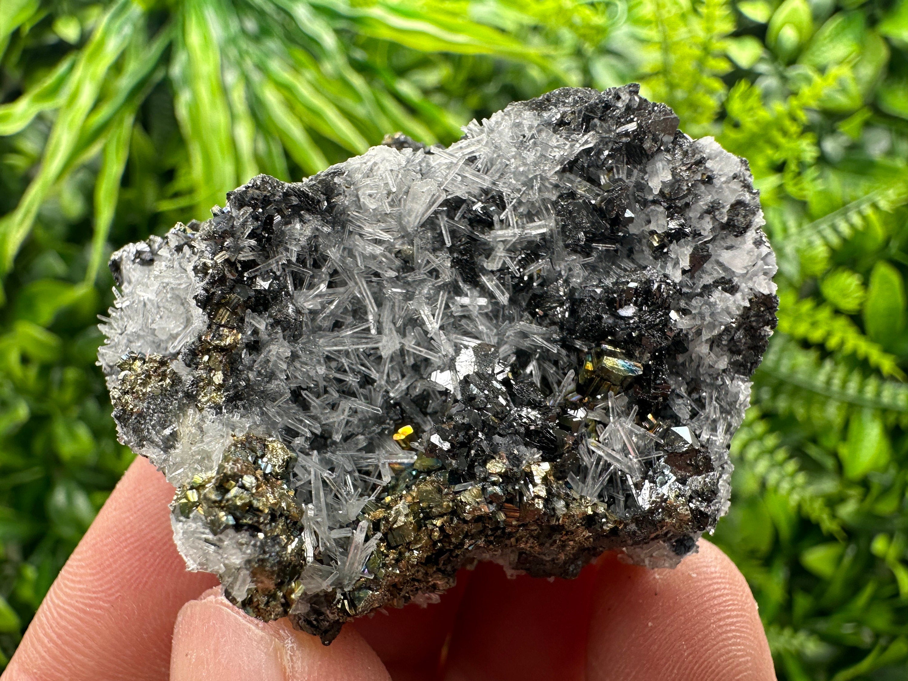 Rainbow Pyrite, Sphalerite on Quartz: Natural Crystal Souvenir