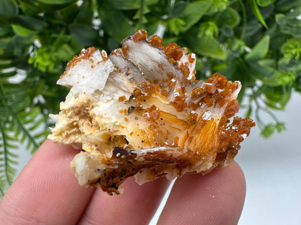 Red Vanadinite on Barite from Marocco,crystal minerals Speciment cluster Vanadinite crystal Vanadinite Geology Vanadinite cluster minerals