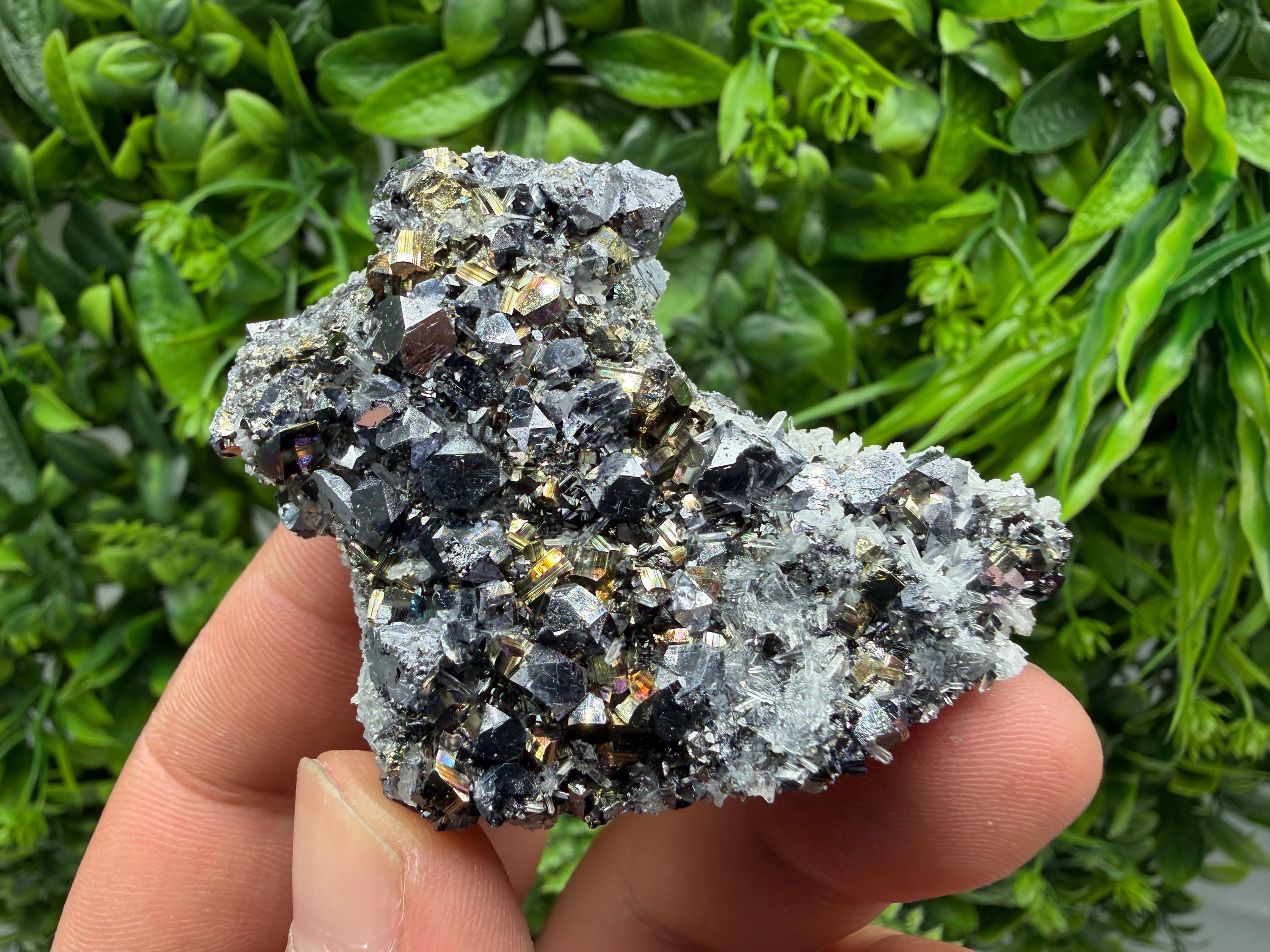 Galena Pyrite Sphalerite Quartz  Mineral Specimen, Krushev dol Mine