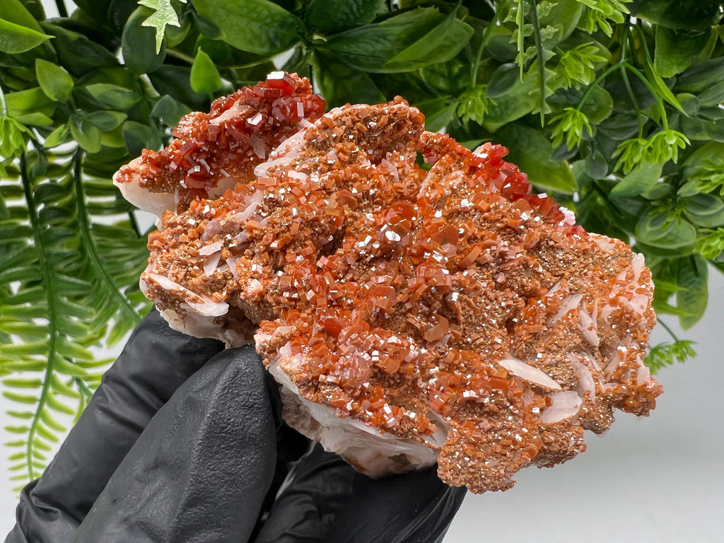 Red Vanadinite on Barite from Marocco,crystal minerals Speciment cluster Vanadinite crystal Vanadinite Geology Vanadinite cluster minerals
