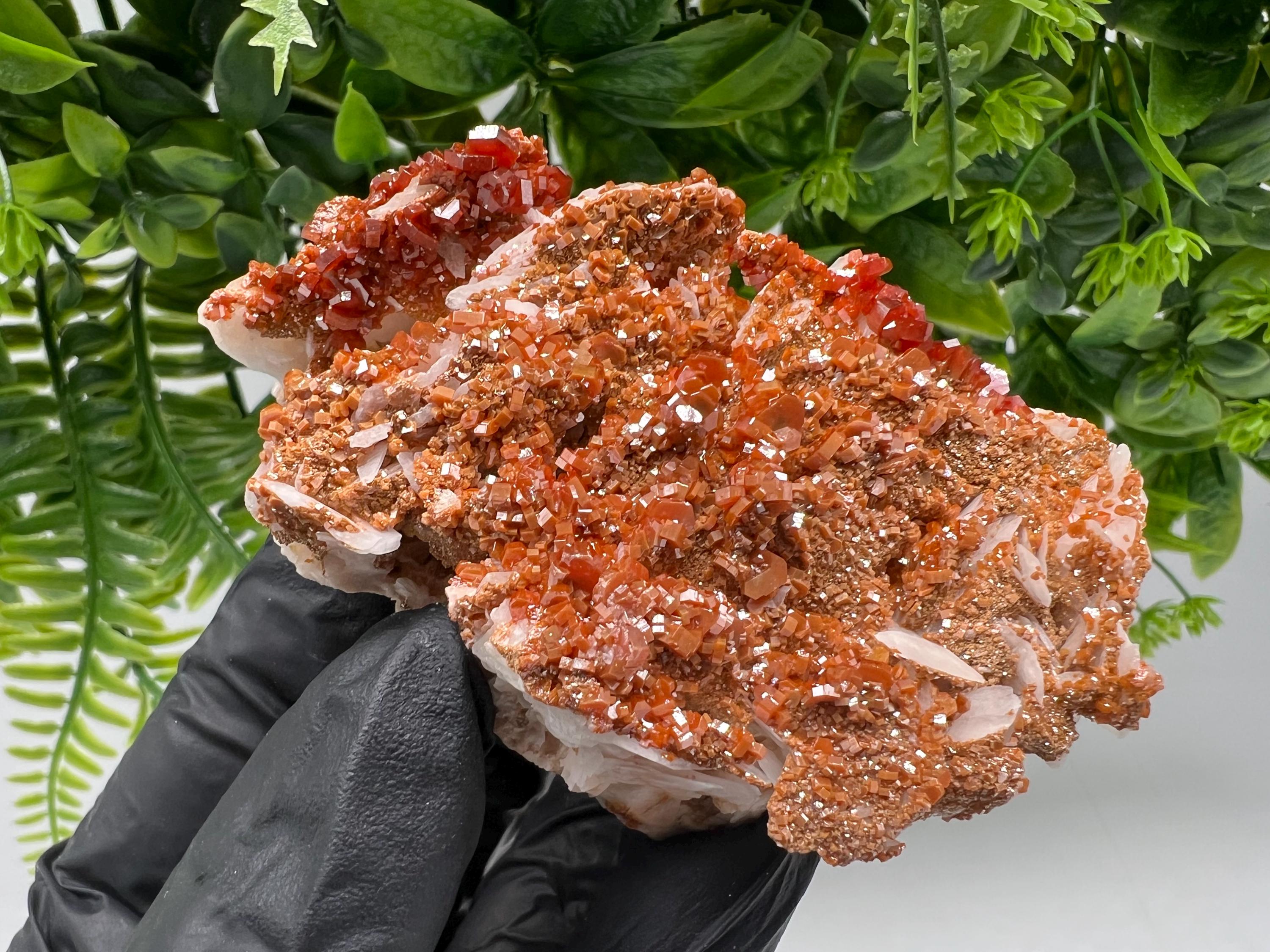Red Vanadinite on Barite from Marocco,crystal minerals Speciment cluster Vanadinite crystal Vanadinite Geology Vanadinite cluster minerals