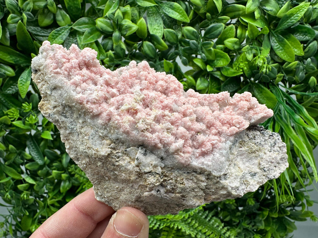 Rhodochrosite on Quartz, Starnica Mine, Bulgaria