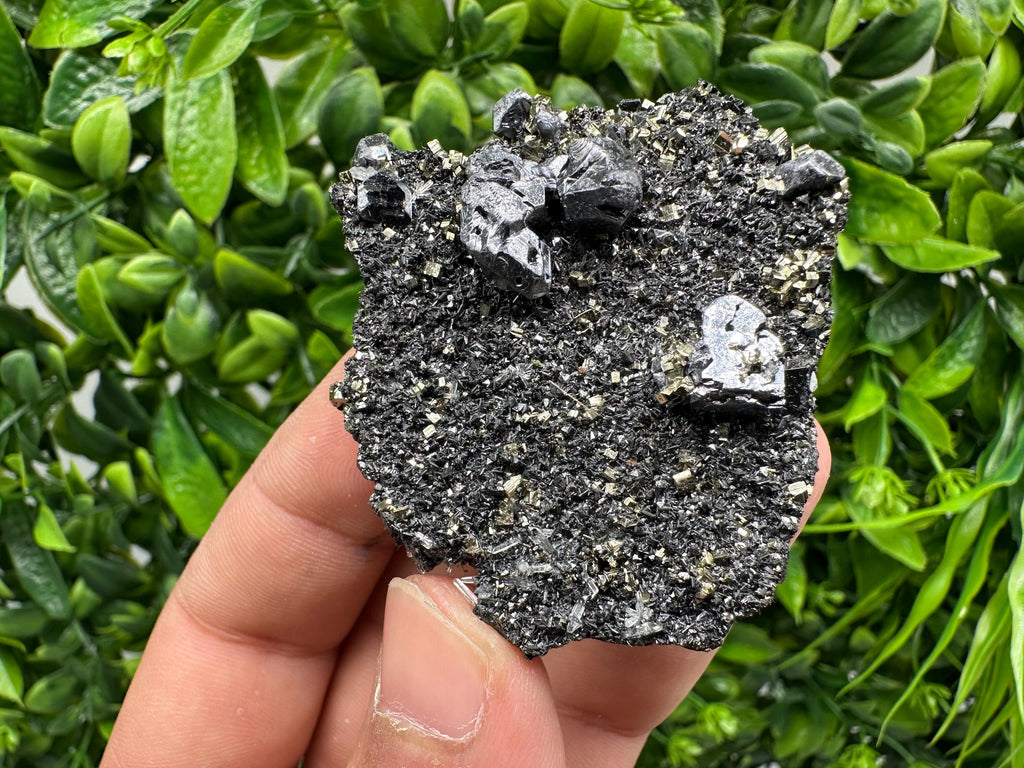 Galena Sphalerite Pyrite Crystal, Borieva Mine, Bulgaria