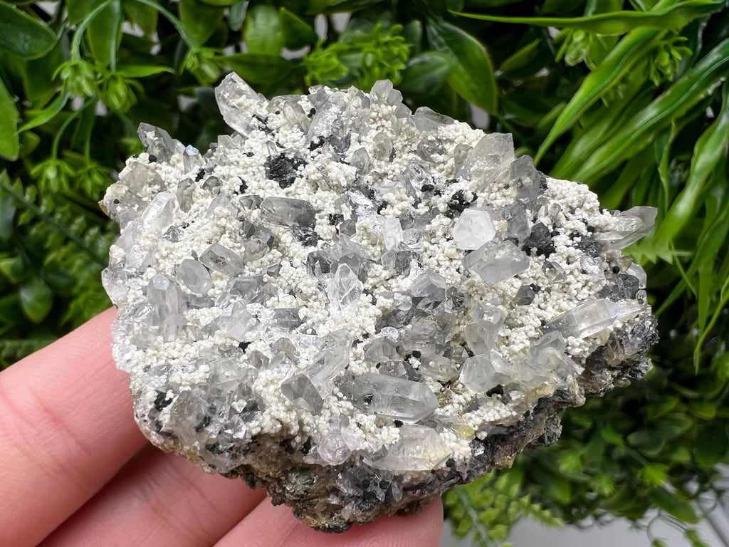 Chlorite Epidote Quartz Specimen, Borieva Mine, Bulgaria