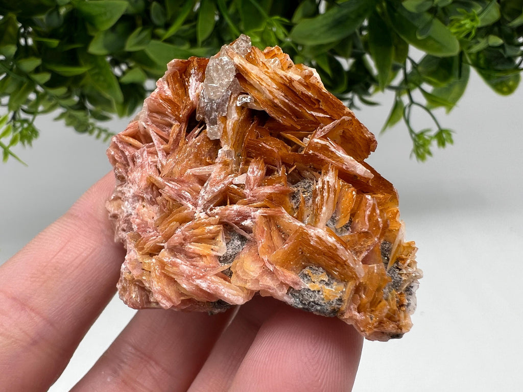 Wonderful Baryte with Cerussite on Galena from Morocco,Crystal, Mineral,Specimen,Cluster,Crystals,Barite Crystal,Cerussite Crystal,Specimen