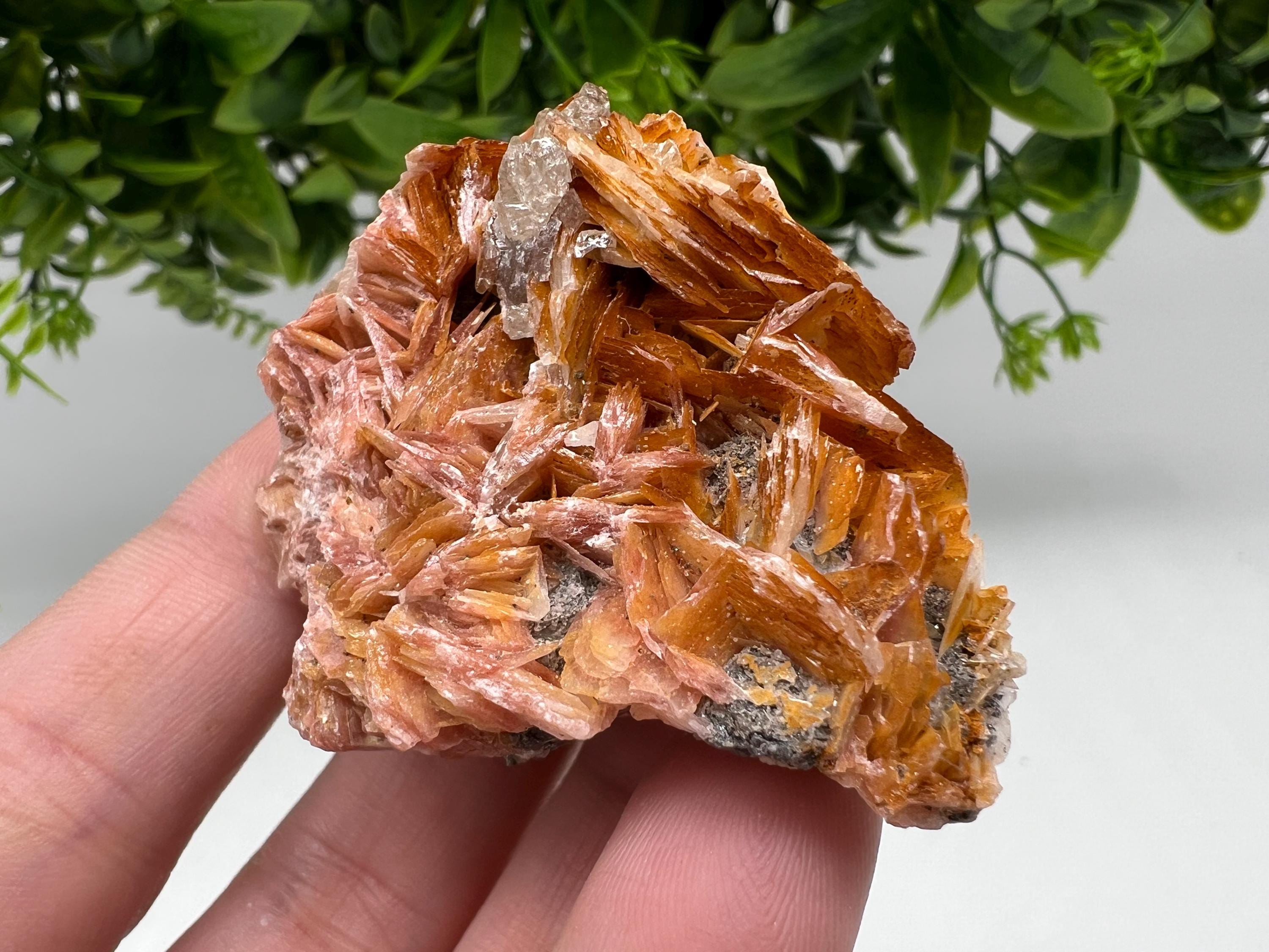 Wonderful Baryte with Cerussite on Galena from Morocco,Crystal, Mineral,Specimen,Cluster,Crystals,Barite Crystal,Cerussite Crystal,Specimen