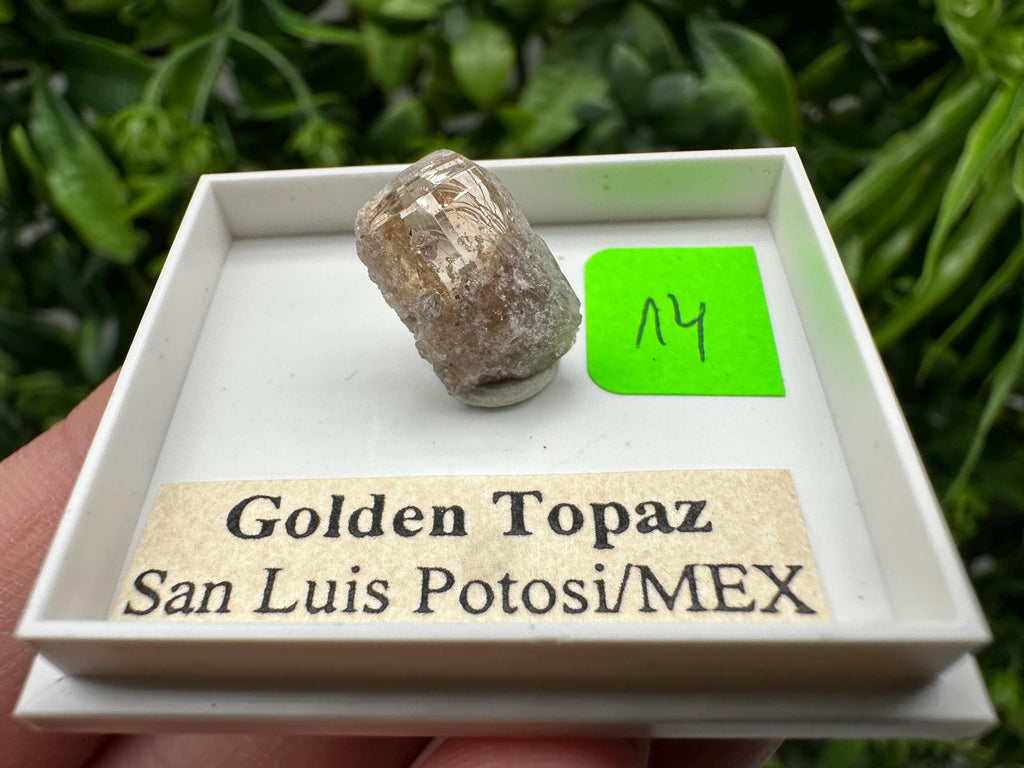 Golden Topaz Crystal, Mineral Specimen from Mexico