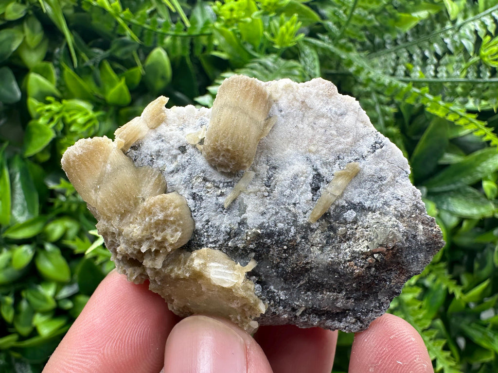 Rare Calcite Cluster on Matrix, Bulgarian Mineral Specimen