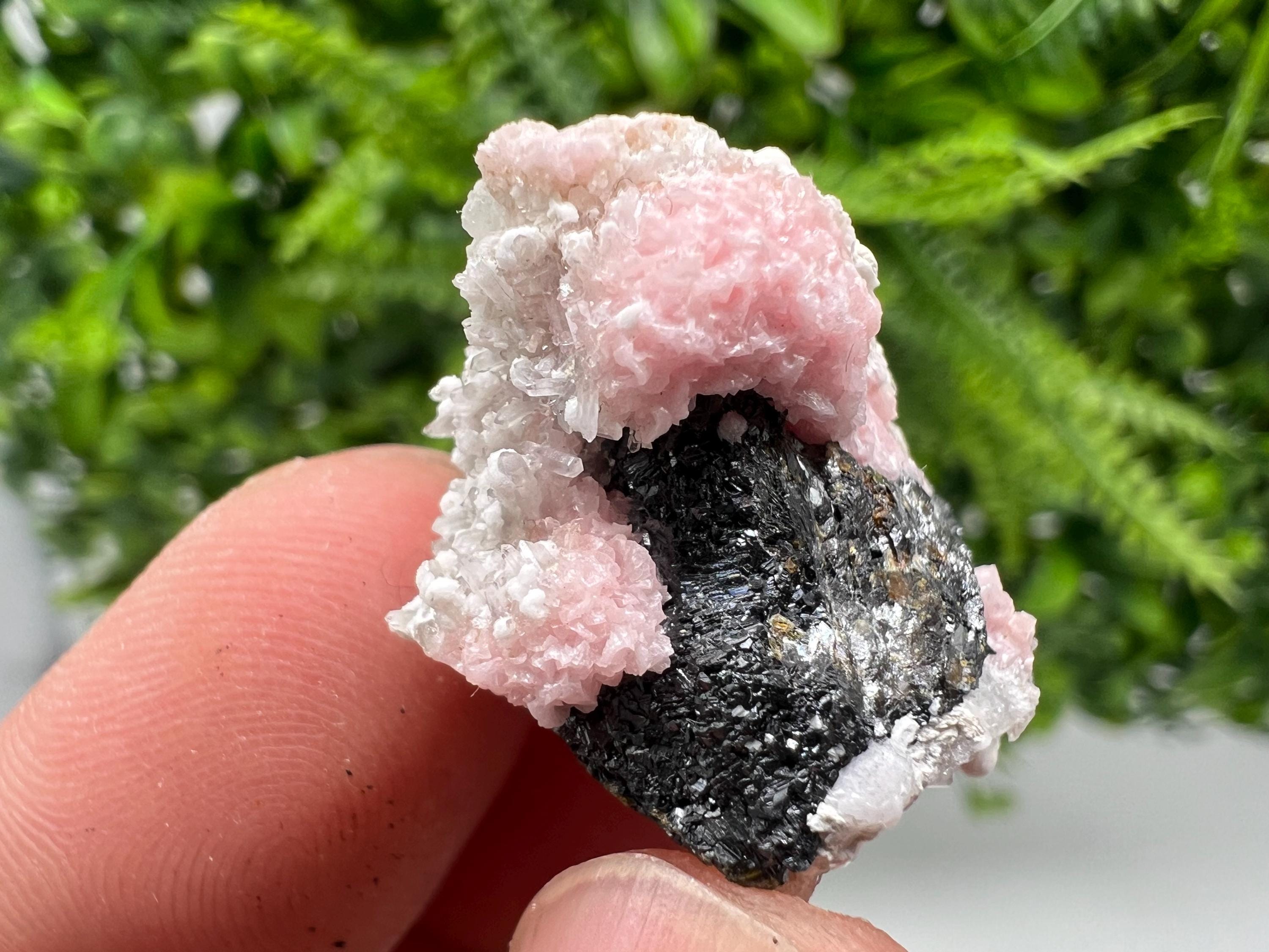 Rhodochrosite on Quartz: Pink Mineral Specimen, Starnica Mine