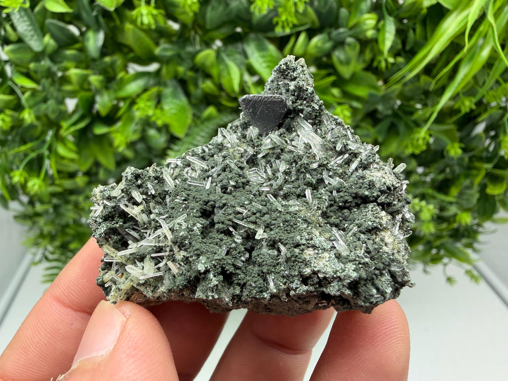 Sphalerite  on Green Quartz: Borieva Mine Crystal Decor