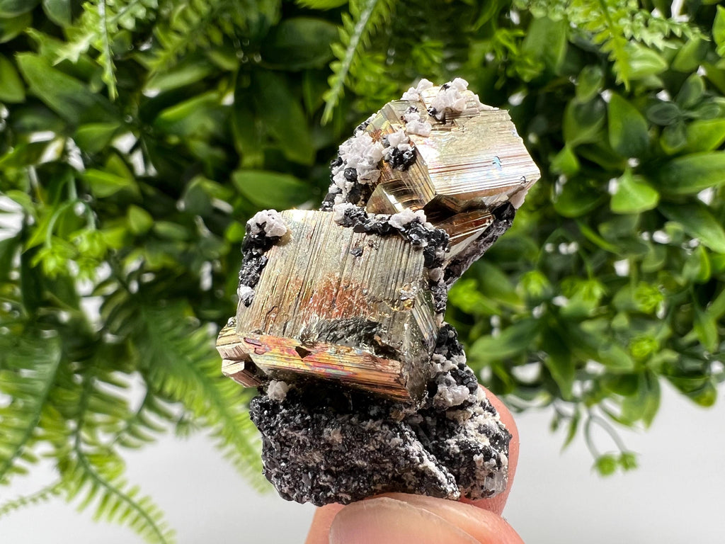 Mini Rainbow Pyrite Cluster: Borieva Mine, Bulgaria