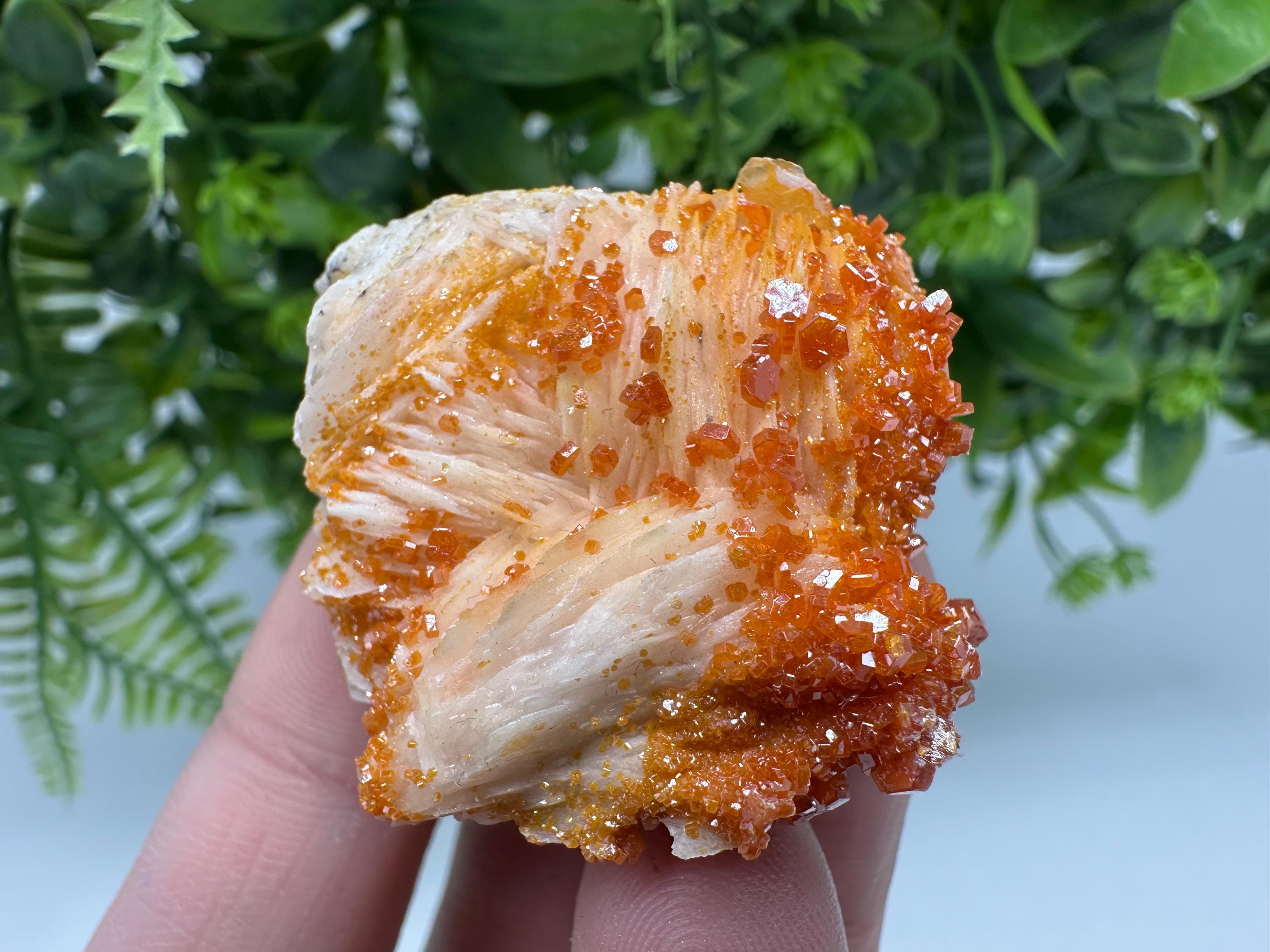 Red Vanadinite on Barite Cluster, Moroccan Mineral Specimen (4/4/2 cm)