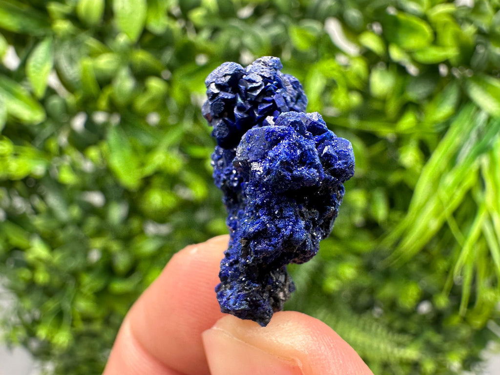 Crystallized Azurite-Kerrouchen,Morocco-Blue Azurite Specimen-High Quality Blue Azurite-Azurite Mineral Specimen, gemmy,lustrous of Azurite