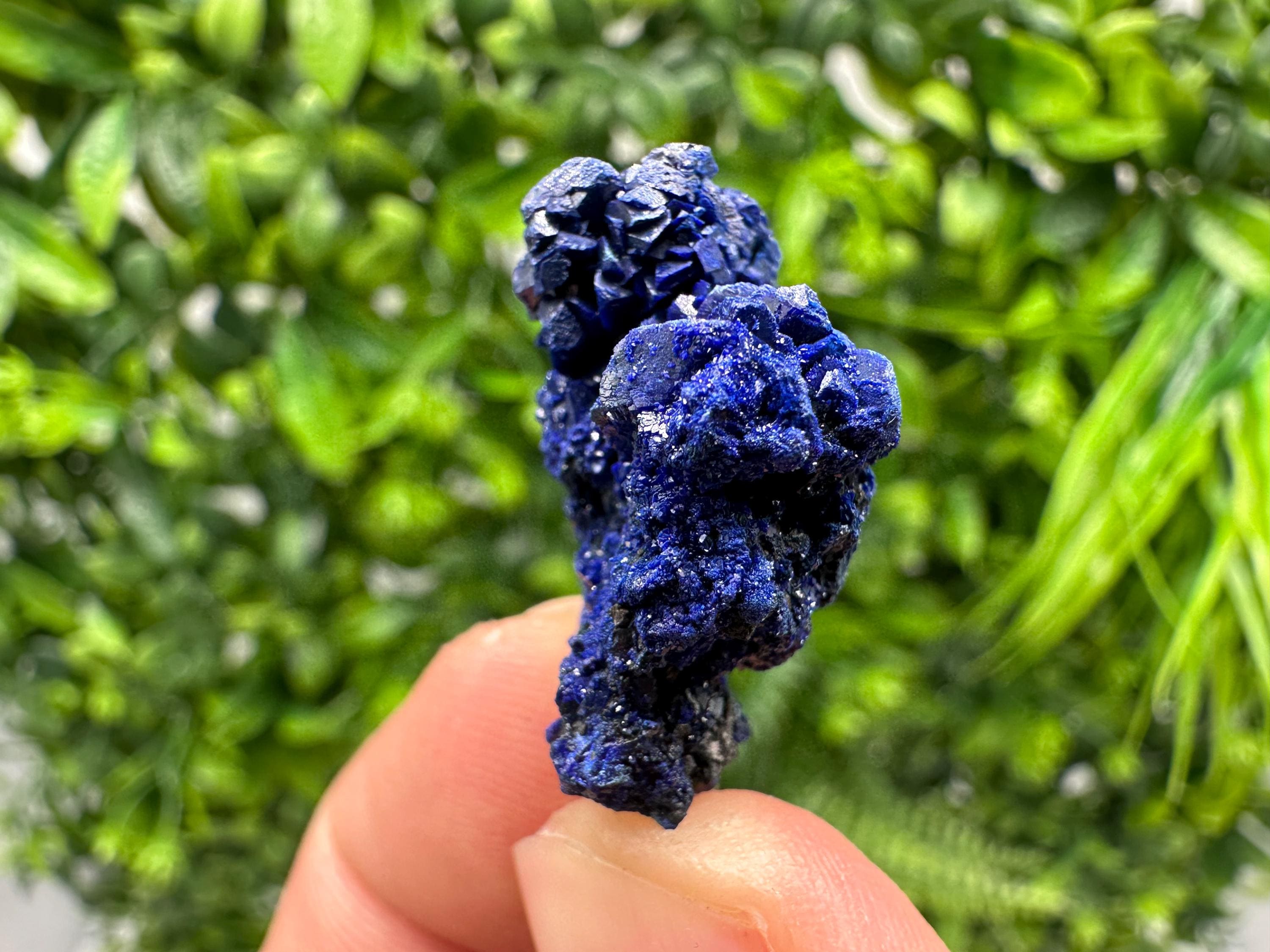 Crystallized Azurite-Kerrouchen,Morocco-Blue Azurite Specimen-High Quality Blue Azurite-Azurite Mineral Specimen, gemmy,lustrous of Azurite