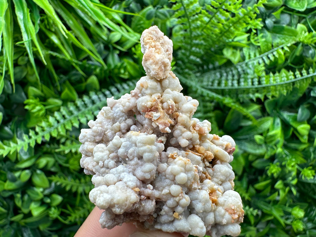 Dimitrovgrad Aragonite Cluster, Bulgaria Mineral Specimen (5/5/5cm)