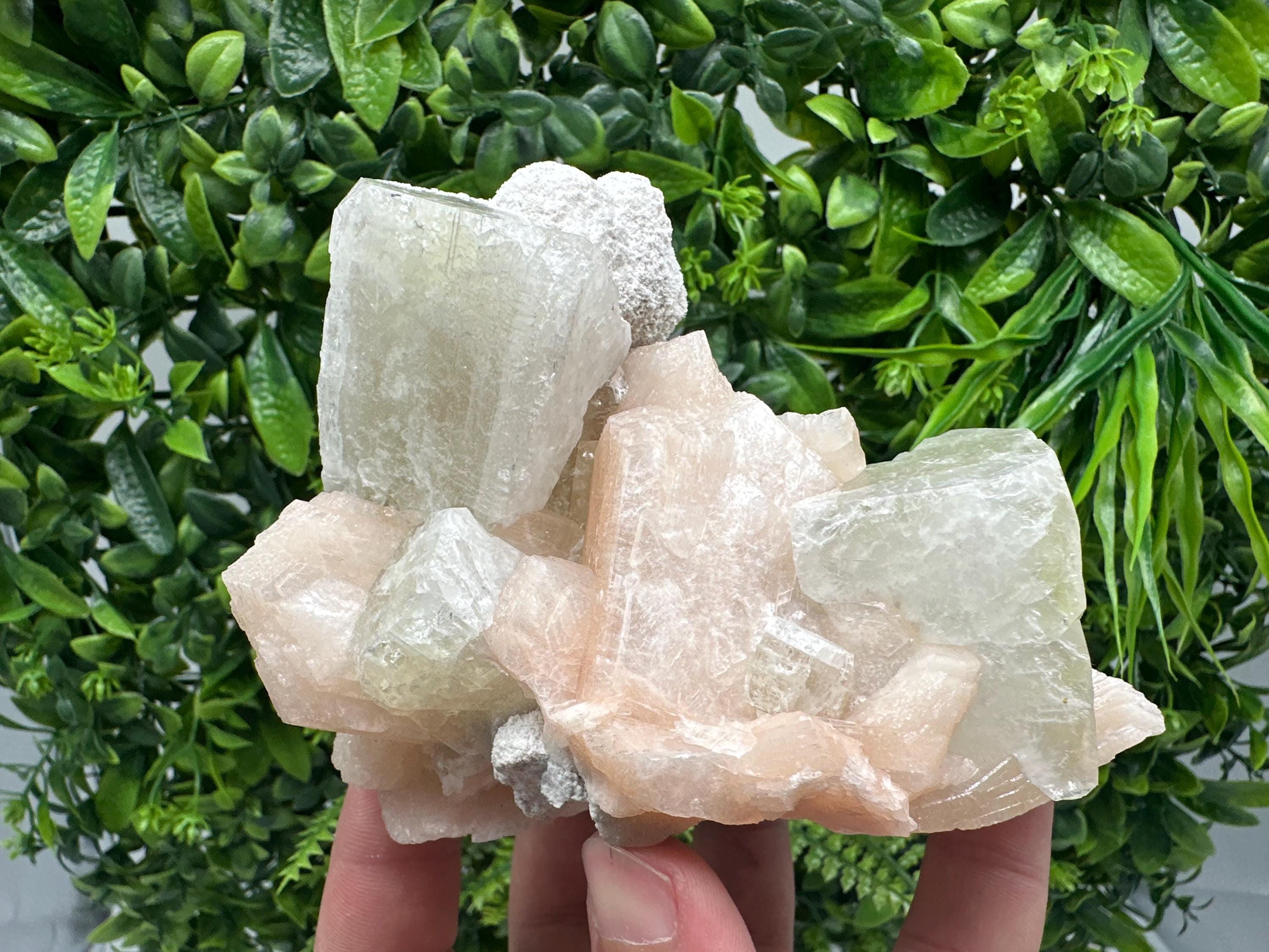 Apophyllite Stilbite on Chalcedony, India Crystal Mineral Specimen