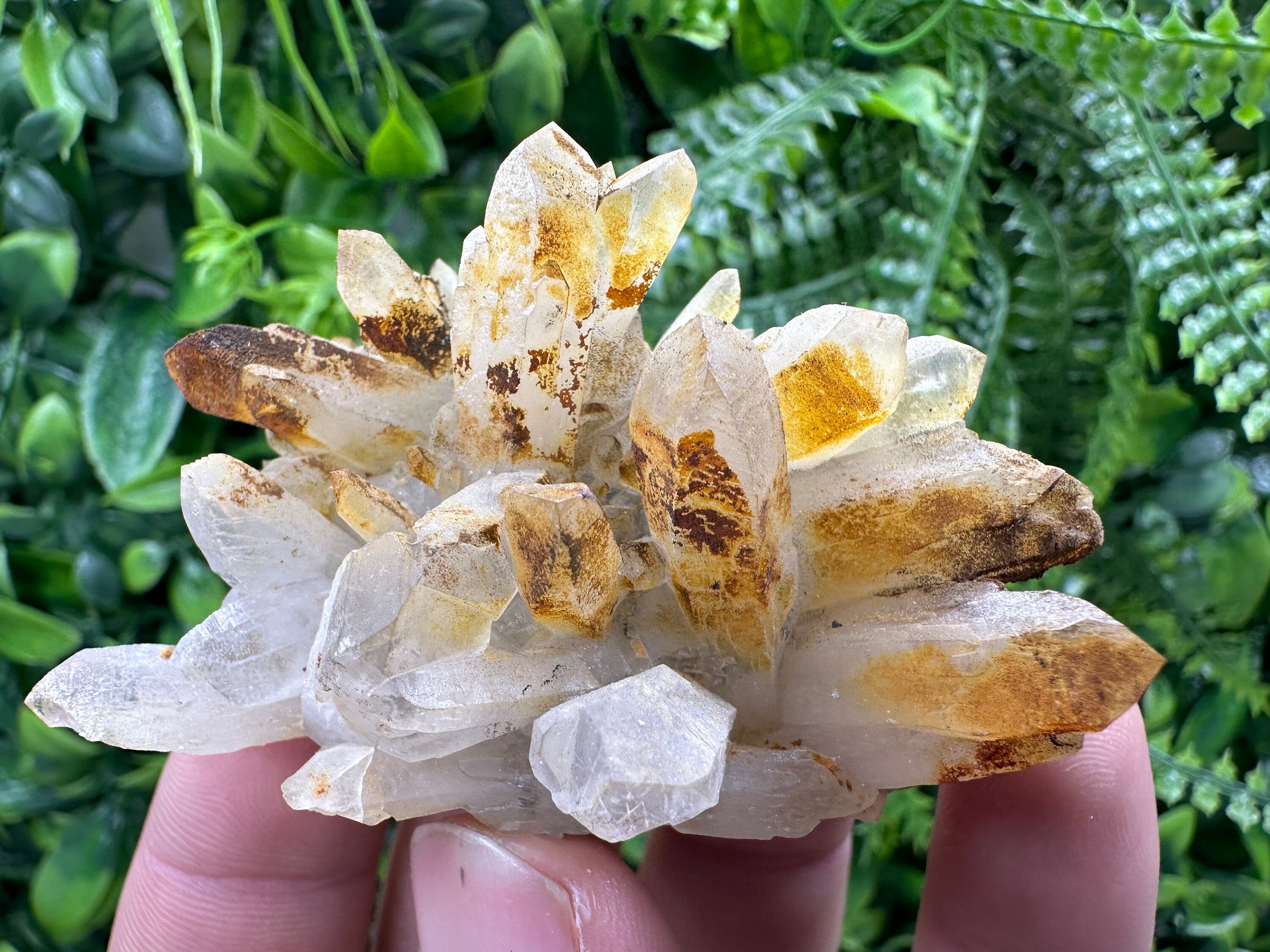 Limonite Coated Quartz Crystal - Natural Mineral Specimen