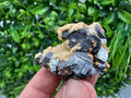 Skeletal Galena with Siderite & Sphalerite - Krushev dol Mine, Bulgaria