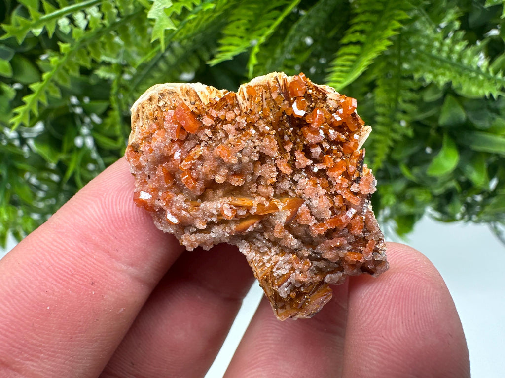 Red Vanadinite on Barite, Morocco Mineral Specimen Cluster