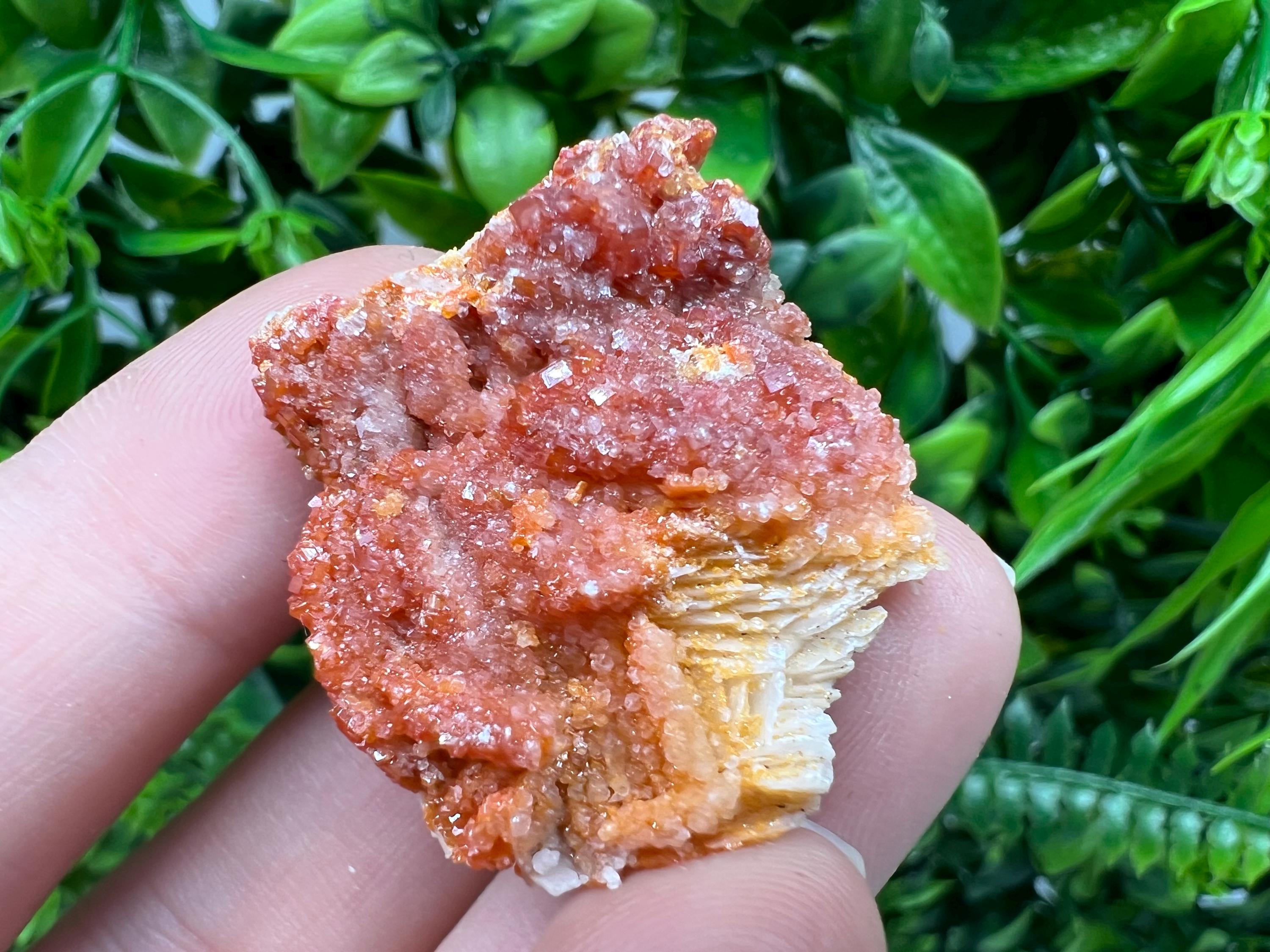 Red Vanadinite on Barite from Marocco,crystal minerals Speciment cluster Vanadinite crystal Vanadinite Geology Vanadinite cluster minerals