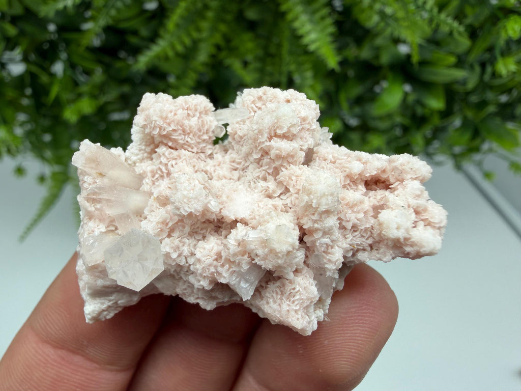 Stunning Quartz whit Chlorite on Rhodochrosite covered whit siderite natural minerals souvenir crystal home decor stone 9th September mine