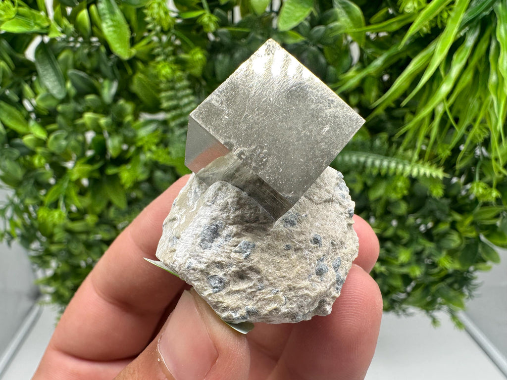 Large Pyrite Cube on Matrix, Navajun Spain, Shiny Home Decor Stone