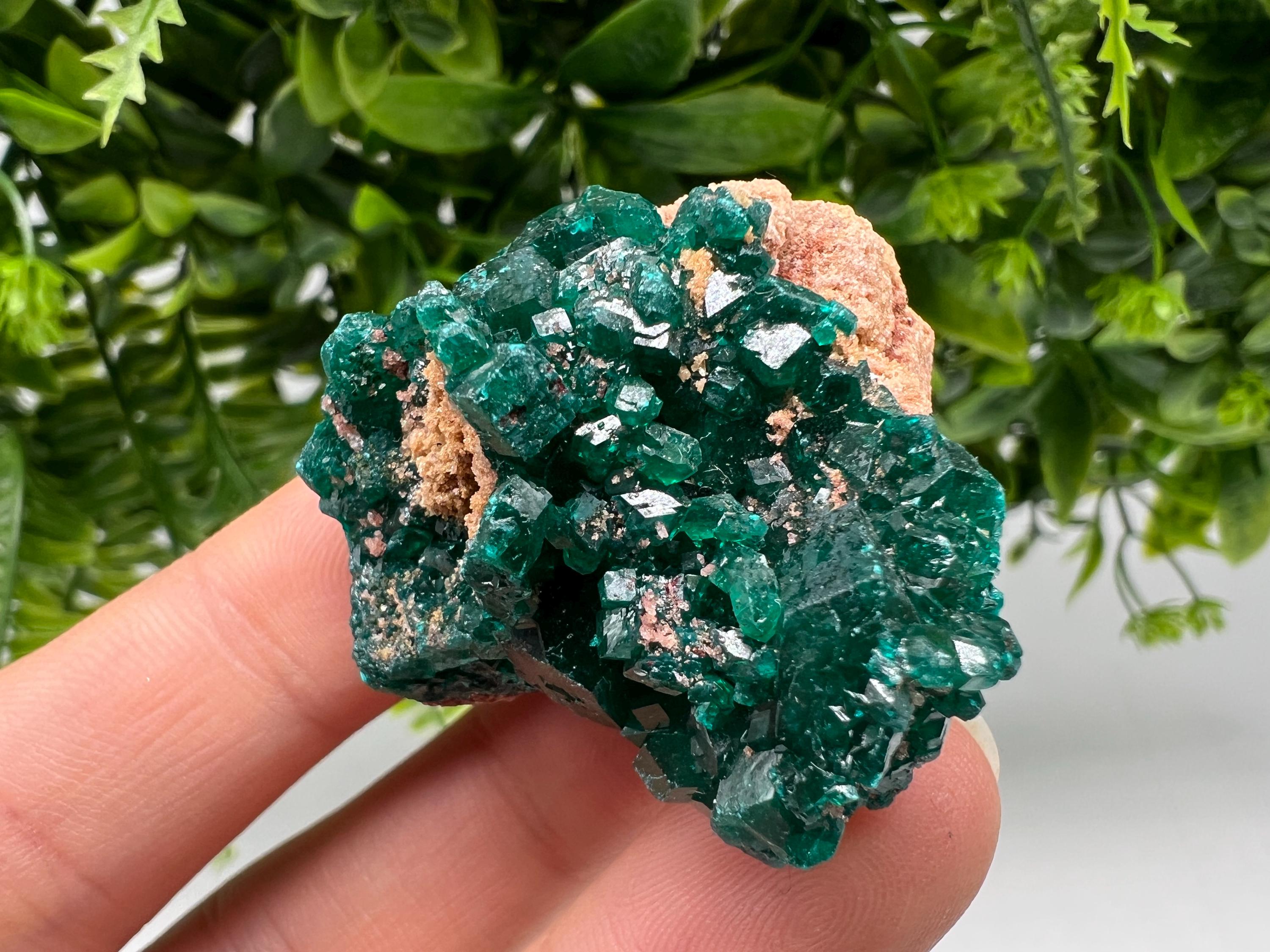 Stunning Green Dioptase from Sanda Hills,Mindouli,Pool Department,Mindouli District,Congo,green Dioptase,Dioptas Crystal,Dioptase collecting