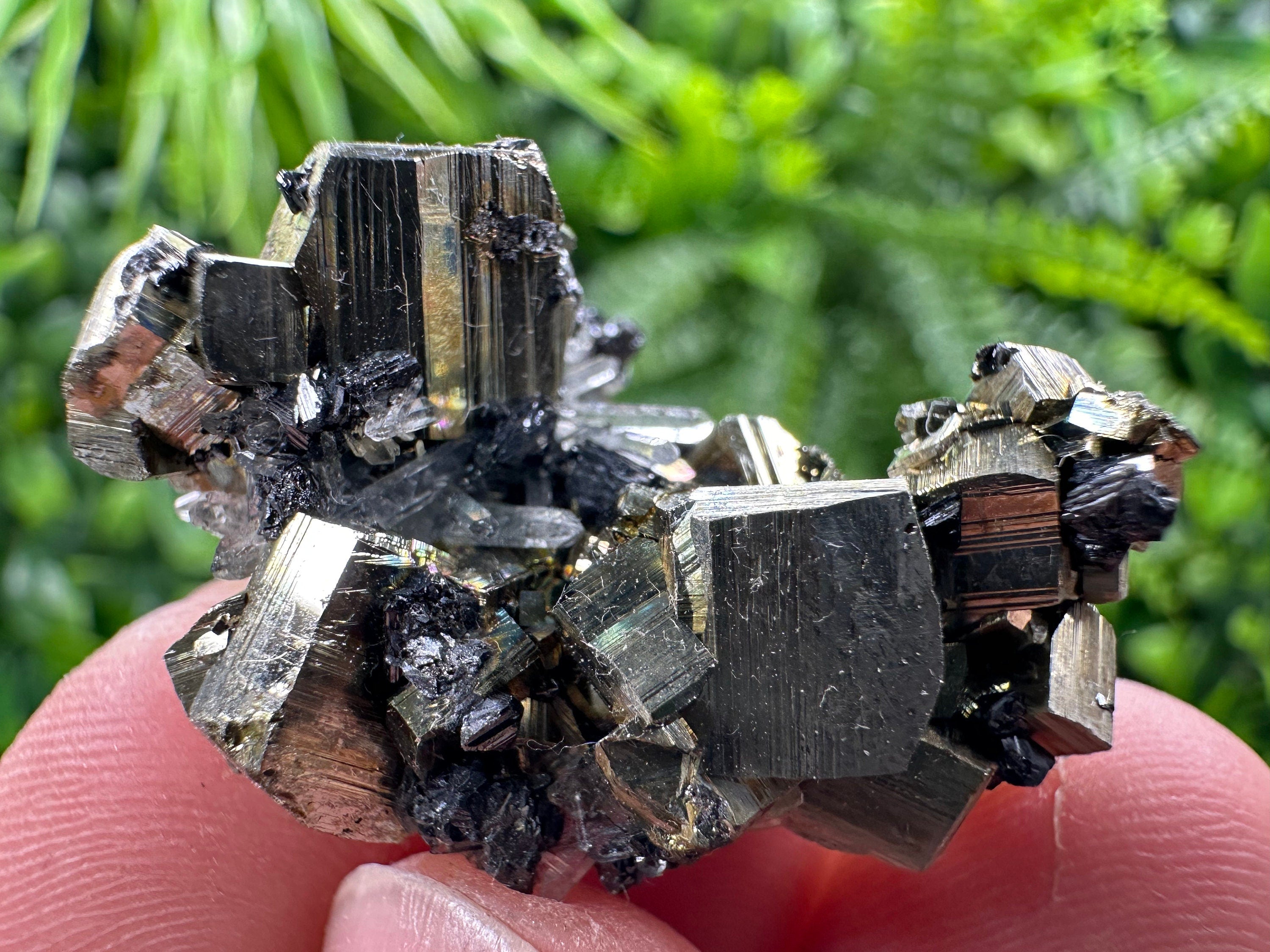 Pyrite with Hematite, Sphalerite & Quartz: Borieva Mine Mineral Specimen