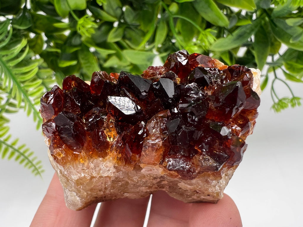 Citrine Crystal Cluster with Hematite Inclusions - Brazil