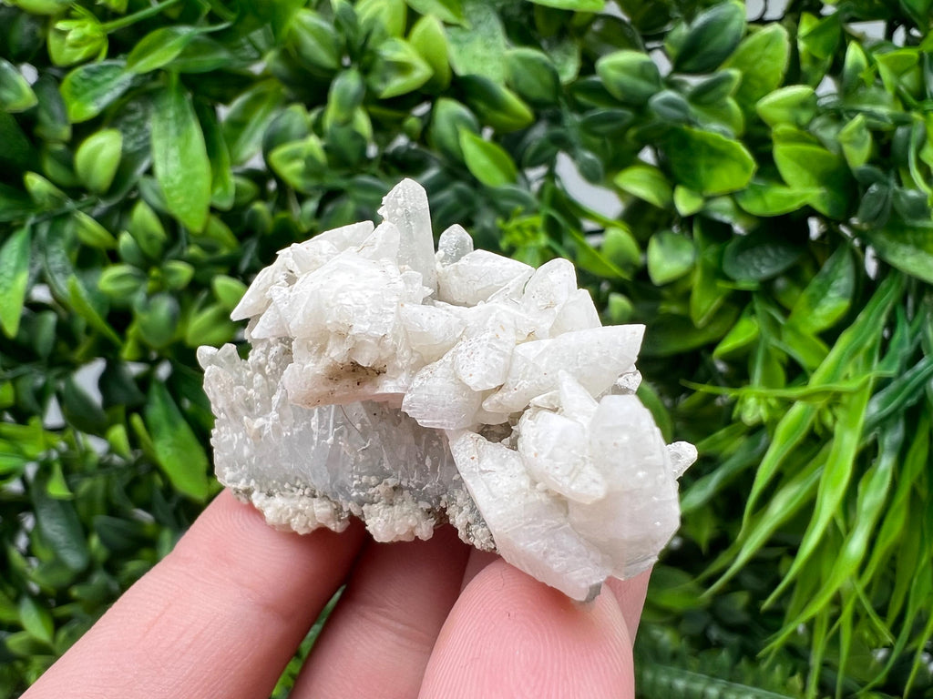 Calcite on Green Quartz: Djurcovo Mine, Bulgaria Healing Crystal