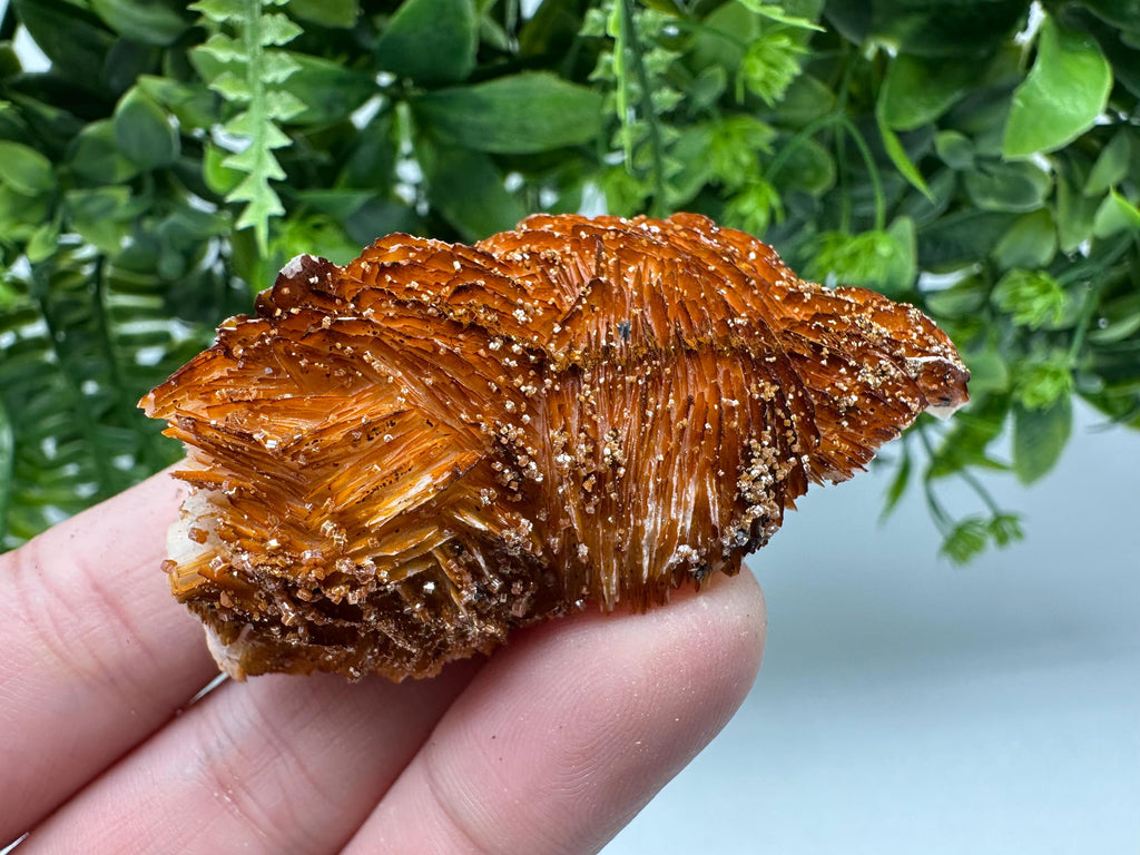Red Vanadinite Crystal Cluster on Barite Matrix from Morocco