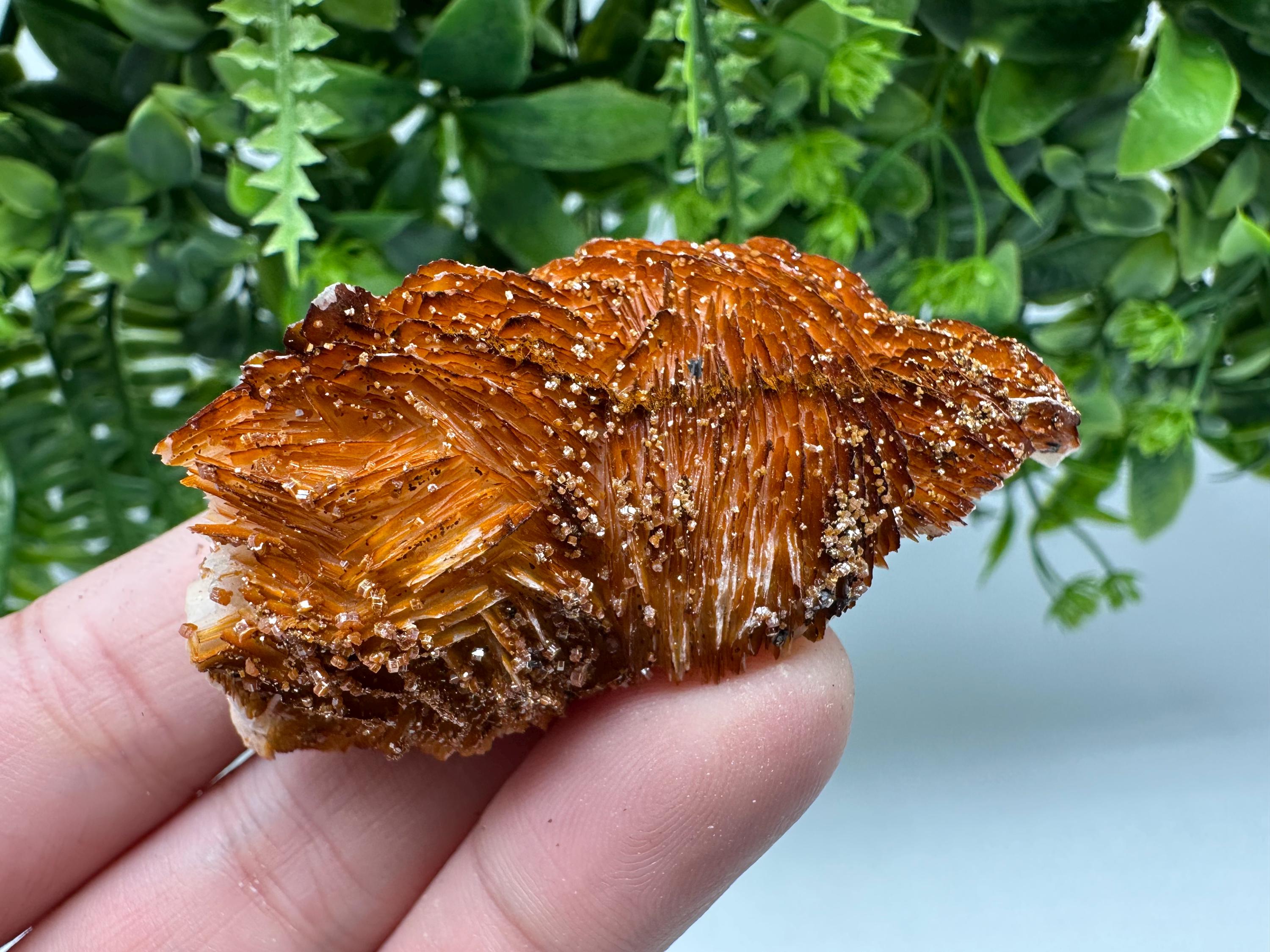 Red Vanadinite Crystal Cluster on Barite Matrix from Morocco