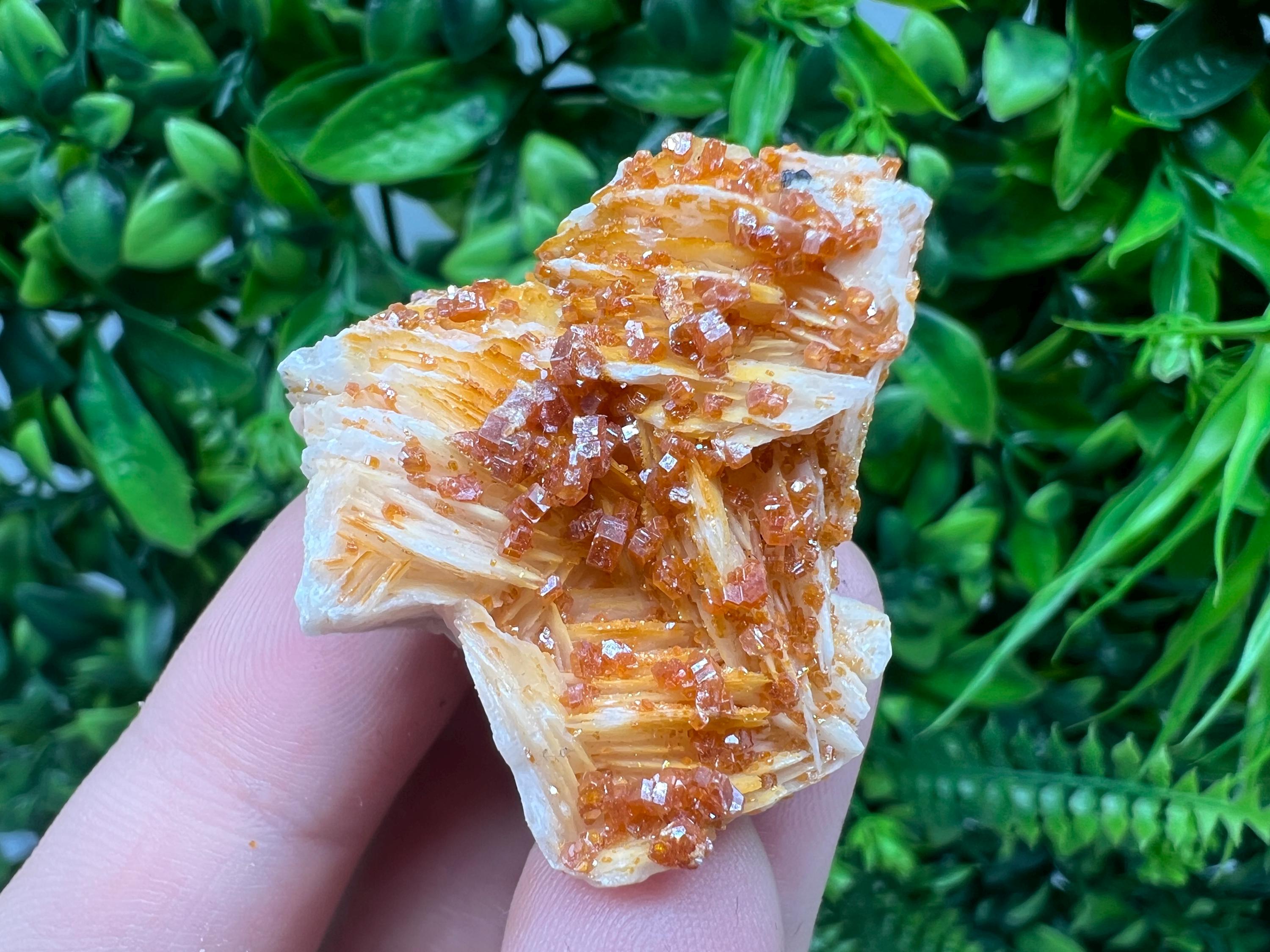 Red Vanadinite on Barite from Marocco,crystal minerals Speciment cluster Vanadinite crystal Vanadinite Geology Vanadinite cluster minerals