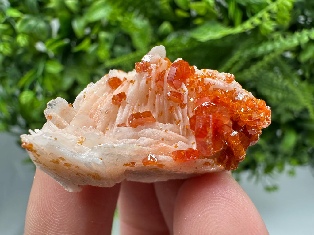Red Vanadinite on Barite Specimen, Moroccan Crystal Cluster