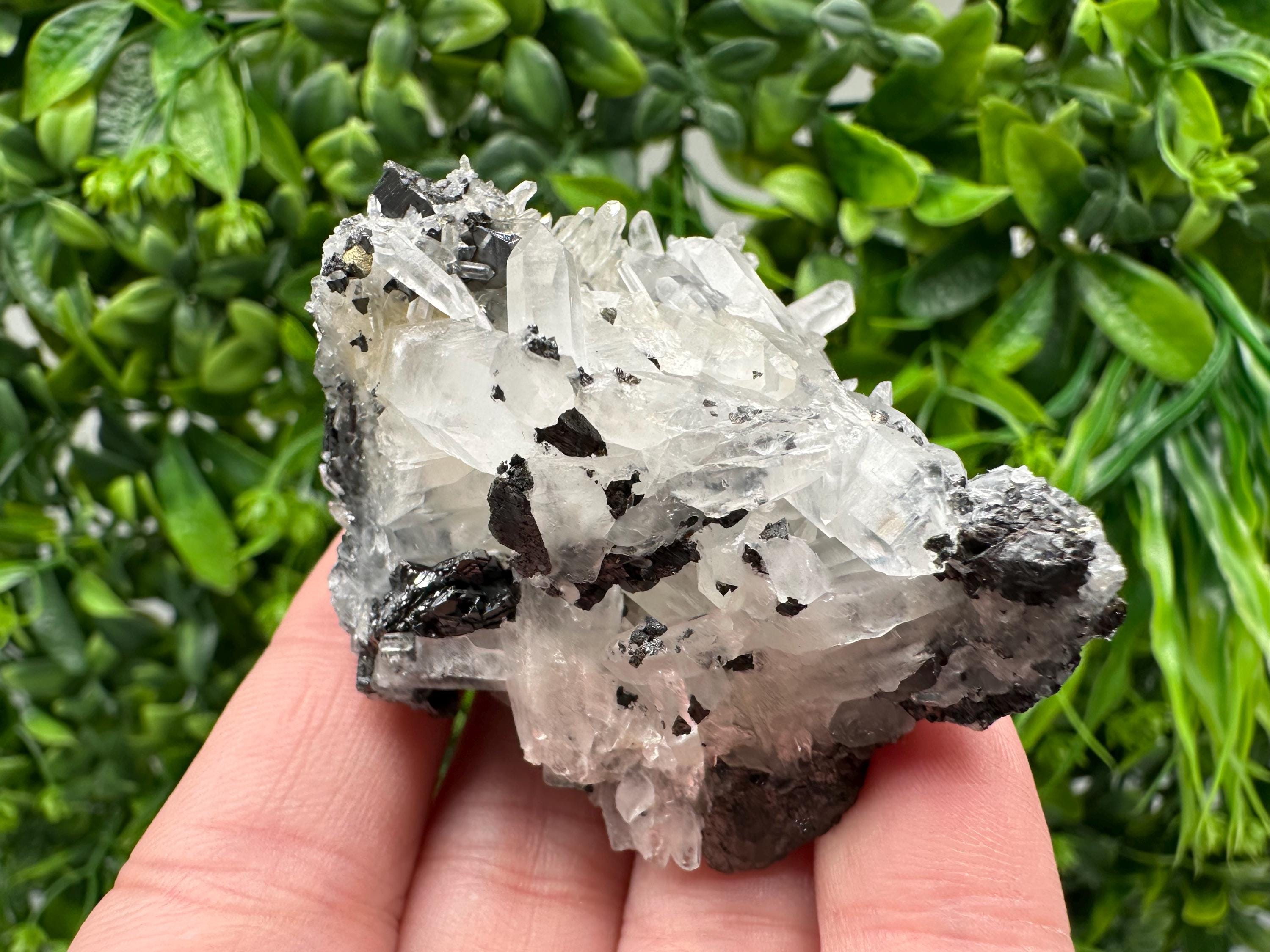 Wonderful Sphalerite Chalcopyrite on  Quartz whit Galena feom 9 th September mine,Bulgaria,natural,collection mineral specimen,gift