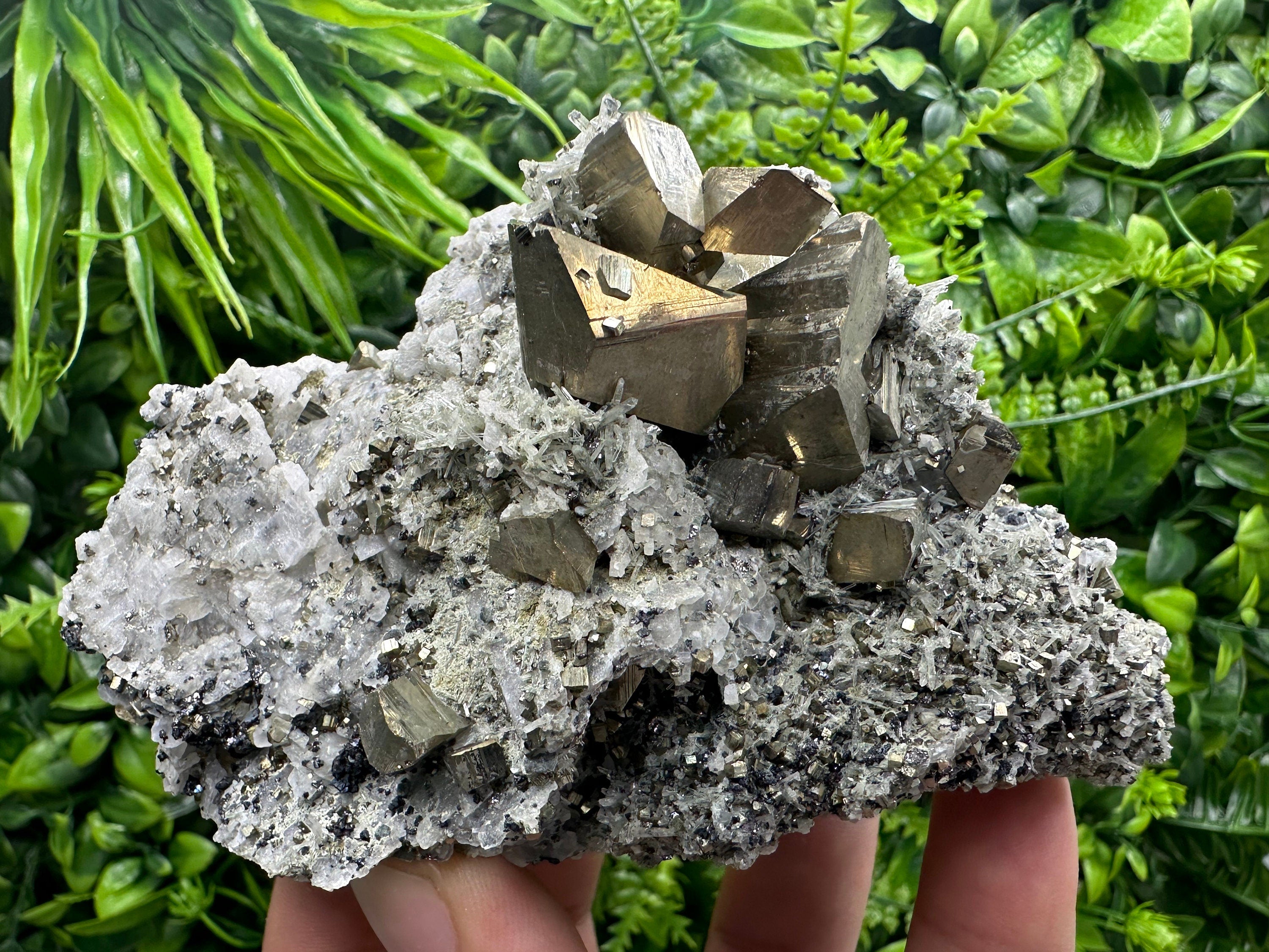 Crystallized Pyrite on Quartz, Madan Bulgaria, Home Decor