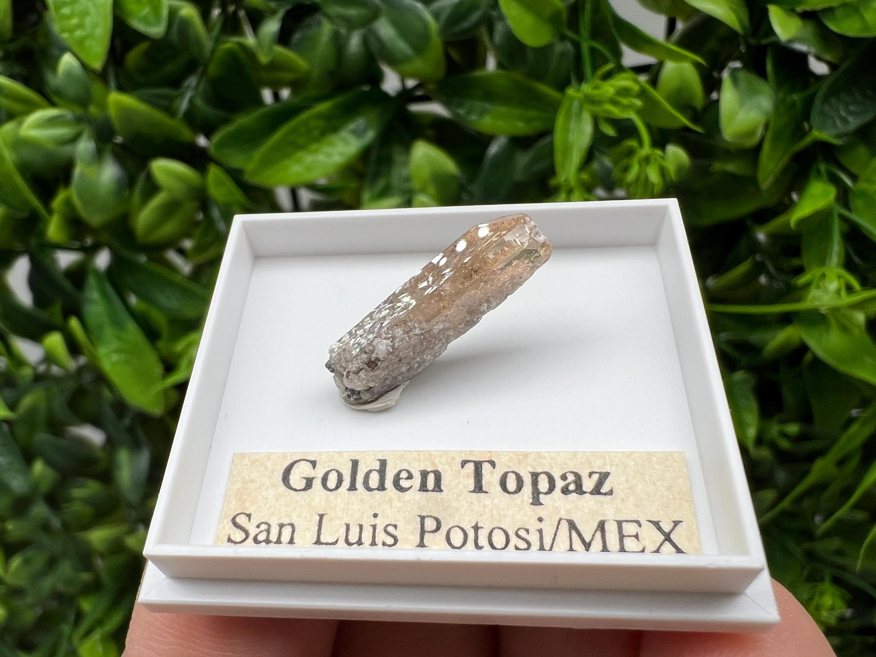 Beautiful Golden Topaz from Mexico,collection piece Crystal,Mineral,collectibles,Collectors, Natural Crystal, Minerals from Mexico,original,
