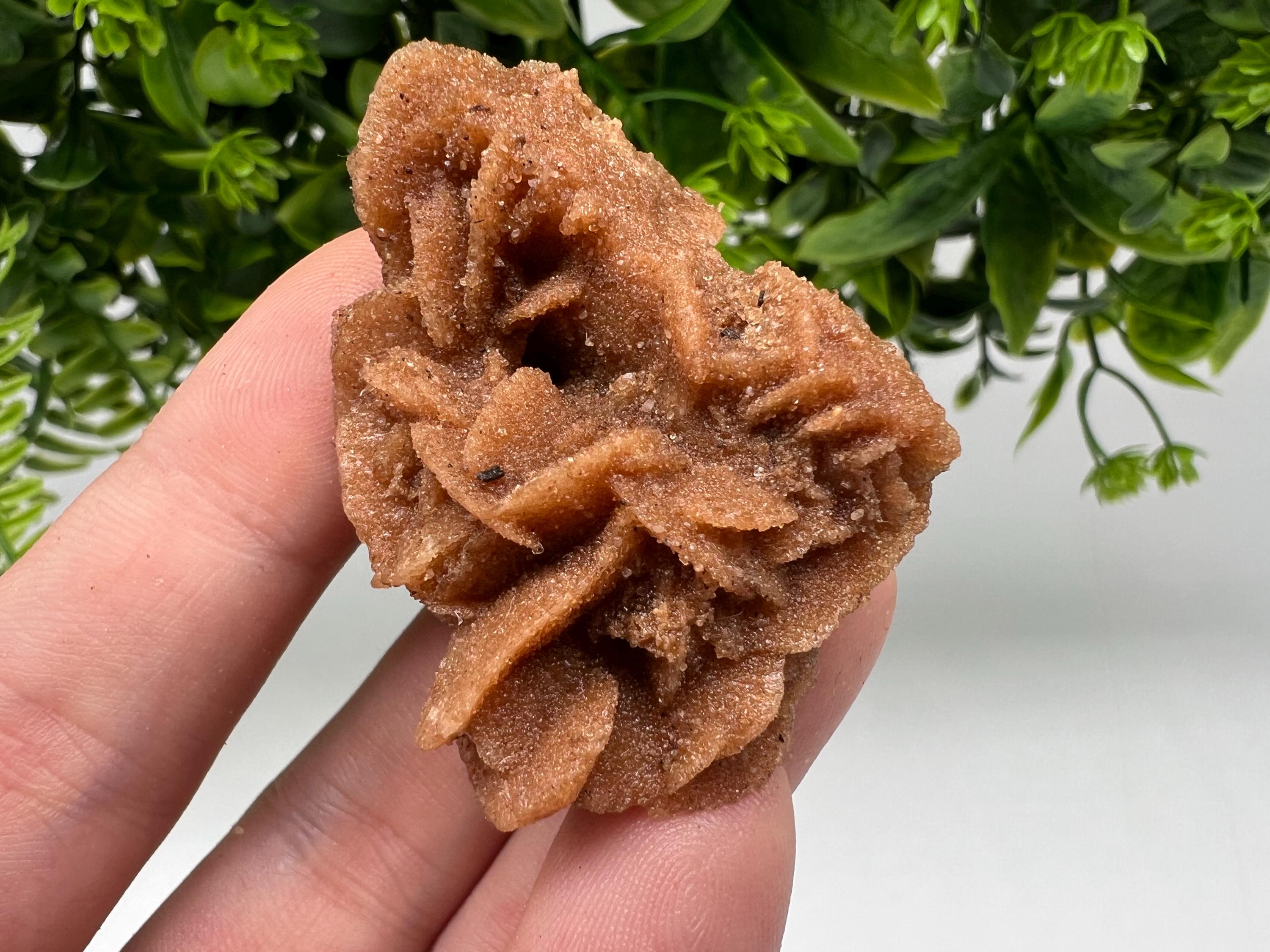 Desert Rose Crystal: Root Chakra Healing Selenite Stone