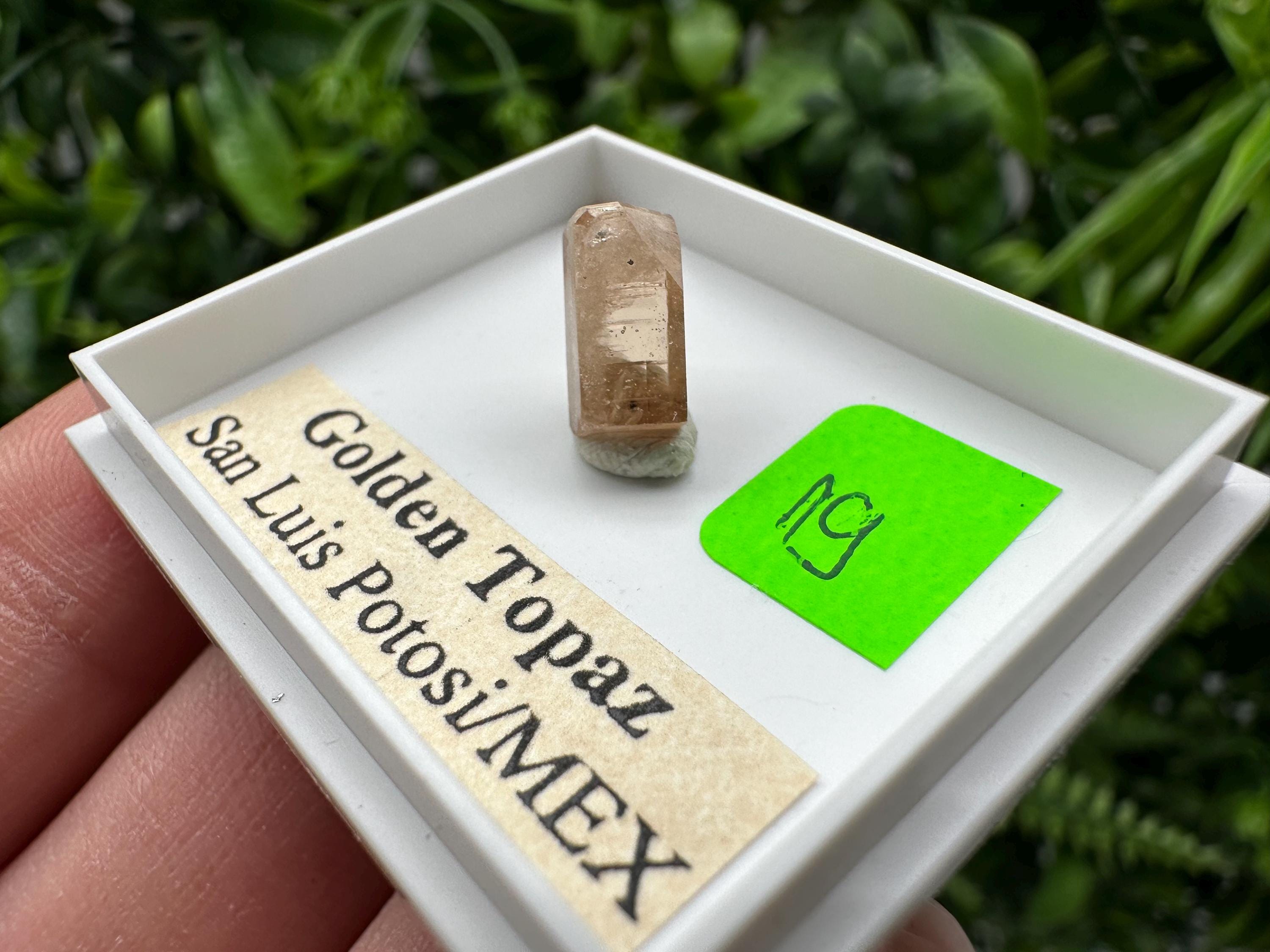 Golden Topaz Crystal, Mineral Specimen from Mexico