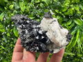 Galena Sphalerite Mineral Specimen: Calcite, Borieva Mine