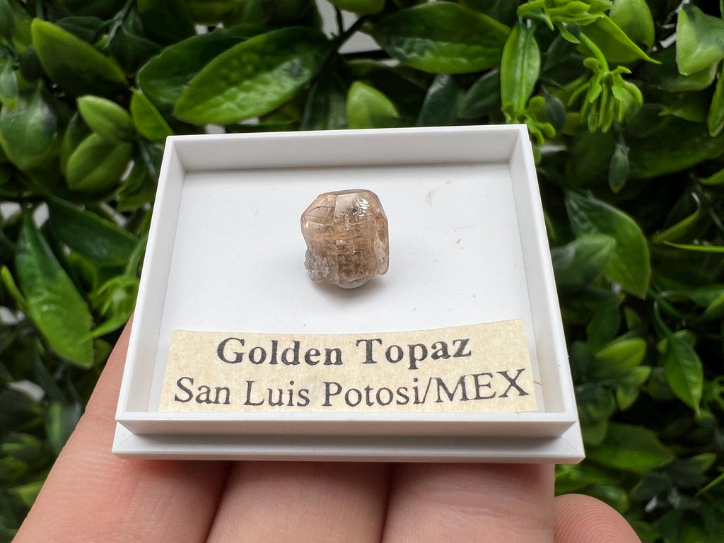 Beautiful Golden Topaz from Mexico,collection piece Crystal,Mineral,collectibles,Collectors, Natural Crystal, Minerals from Mexico,original,