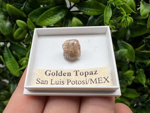Beautiful Golden Topaz from Mexico, collection piece Crystal, Mineral, collectibles, Collectors, Natural Crystal, Minerals from Mexico, original,