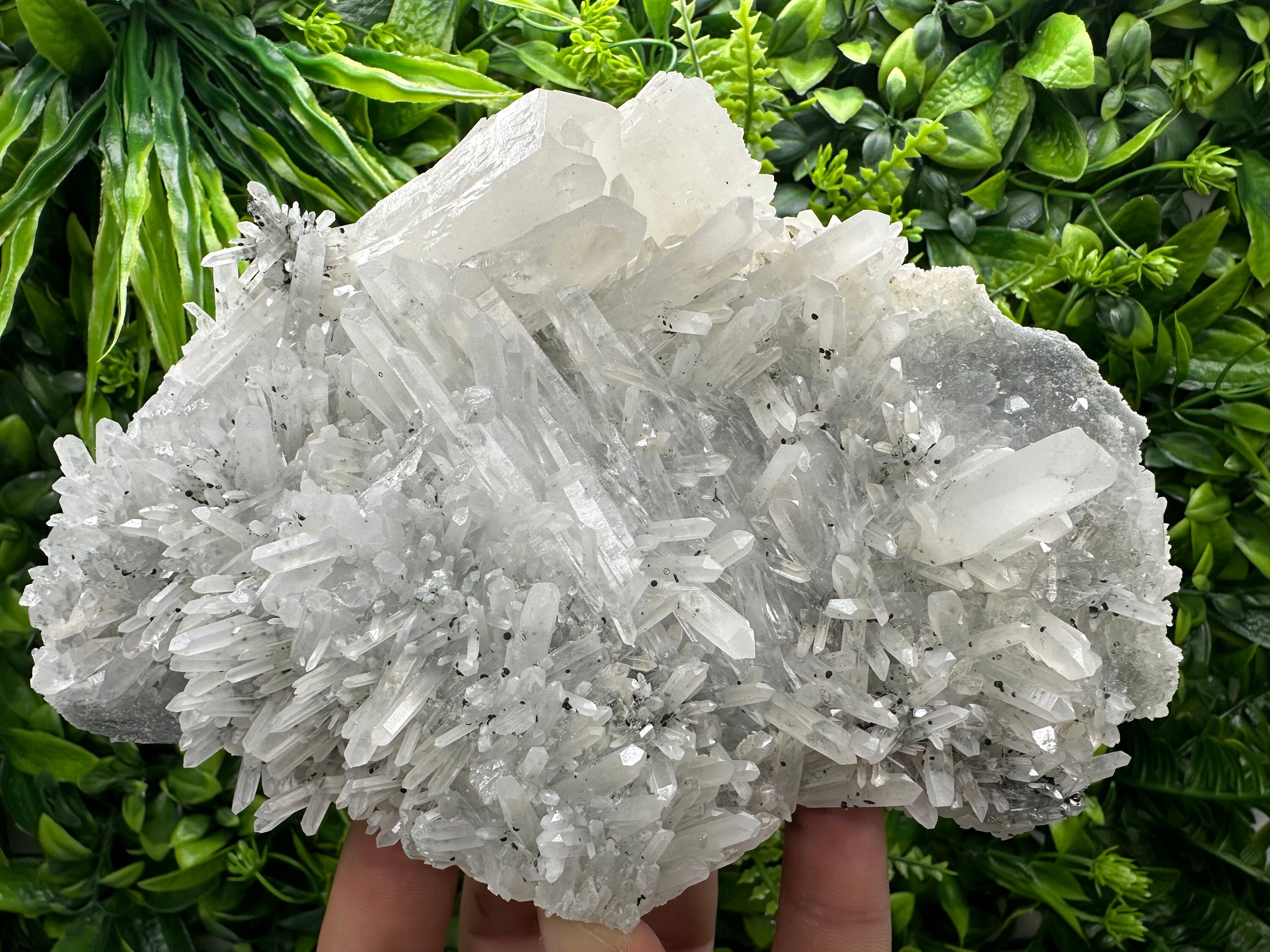 Transparent Quartz Crystal, Borieva Mine Bulgaria, Mineral Specimen