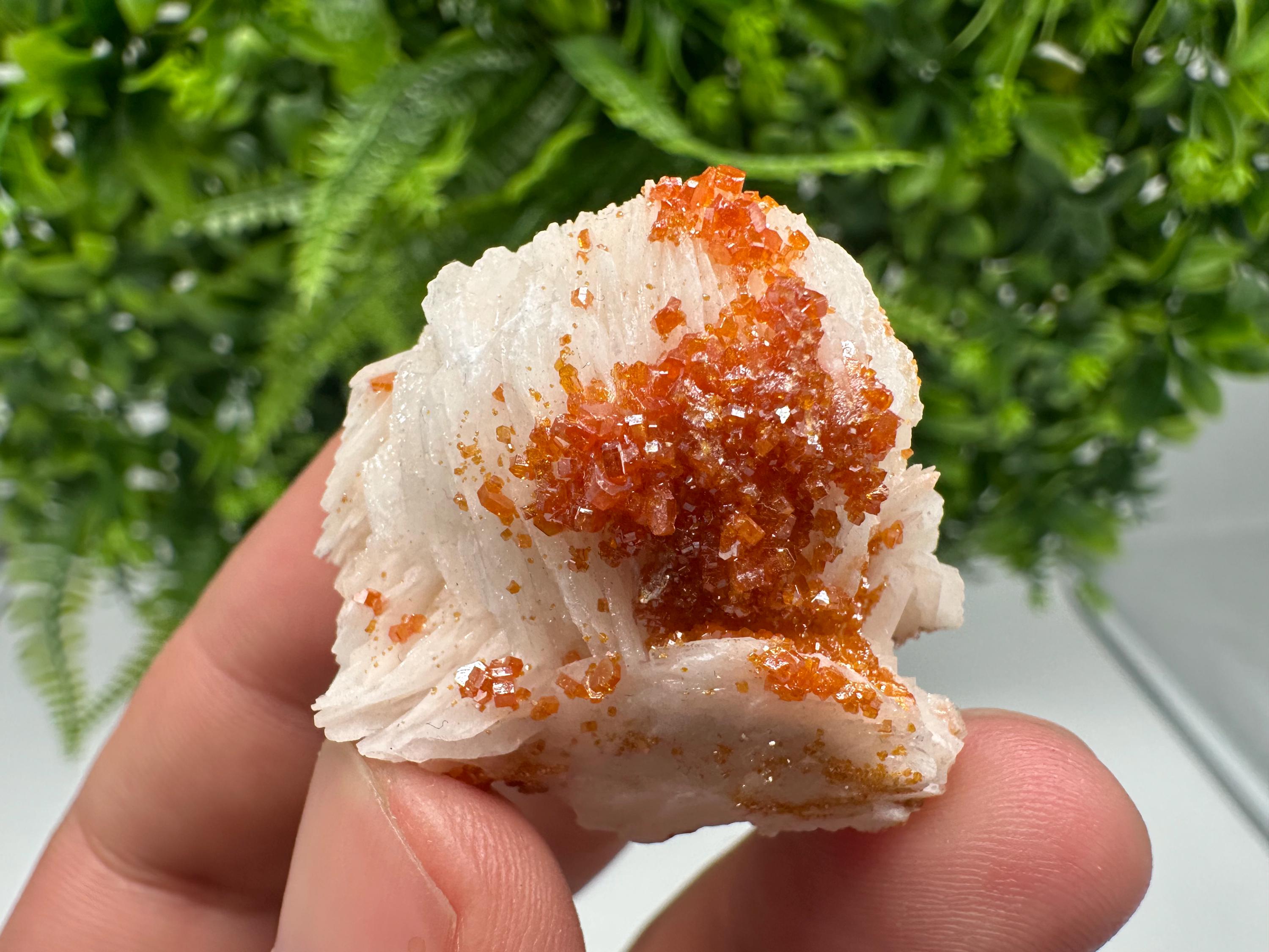 Red Vanadinite on Barite from Marocco,crystal minerals Speciment cluster Vanadinite crystal Vanadinite Geology Vanadinite cluster minerals