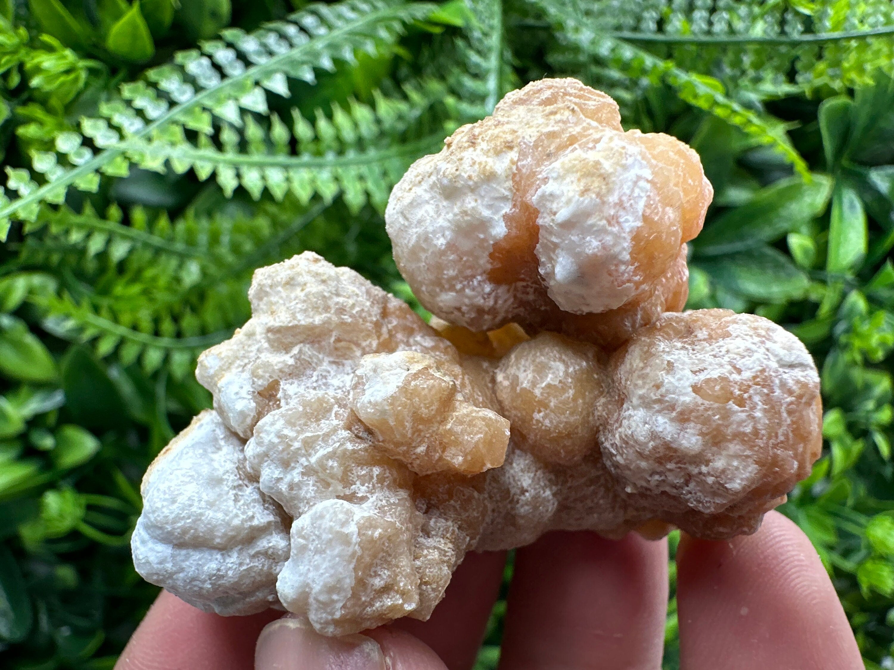 Aragonite Cluster, Dimitrovgrad Bulgaria, Mineral Specimen